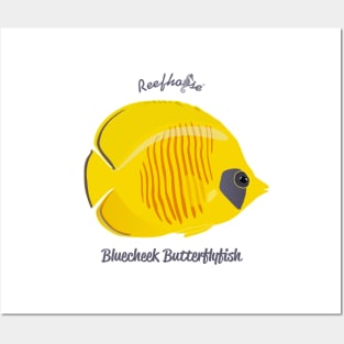 Bluecheek Butterflyfish Posters and Art